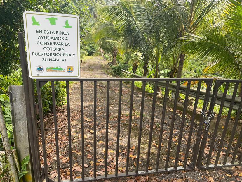 Los terrenos donde se realizaron las siembras cuentan con un letrero que reza: “En esta finca ayudamos a conservar la cotorra puertorriqueña y su hábitat”. 
