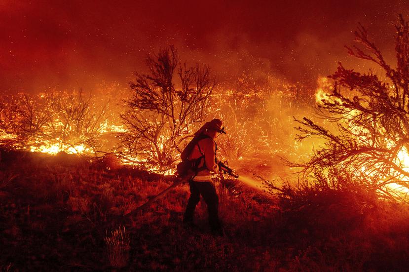 Los incendios forestales que afectan la zona oeste de los Estados Unidos han sido de los más intensos de los últimos cinco años.