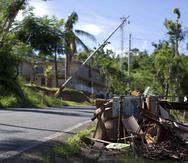 Foto de archivo del 3 de enero de 2018, donde se pueden ver escombros y postes en el aire al borde de la carretera principal de la comunidad Galateo Centro, en Toa Alta.