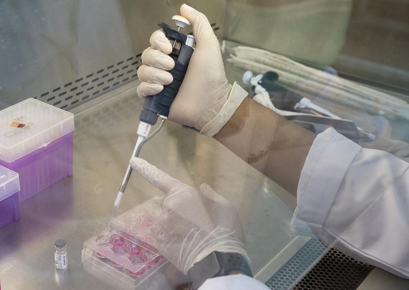 Un técnico de laboratorio hace pruebas con vacuna contra el COVID-19.