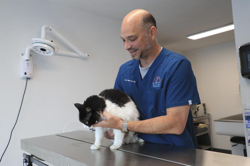 El veterinario Javier Rodríguez explicó que las clínicas de emergencia suelen ser más rigurosas en sus protocolos contra el COVID-19 porque reciben más personas.