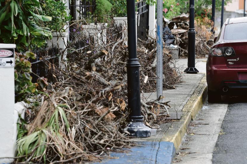 Los municipios tienen que presentar un plan sobre cómo dispondrán del material vegetativo que se acumuló tras el huracán.