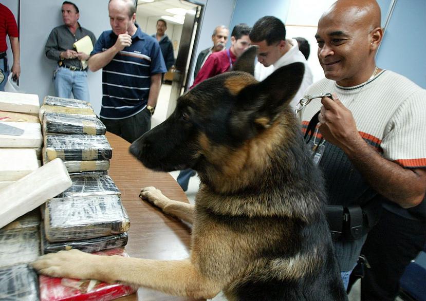 Un can de la policía detectó la droga en los equipajes. (GFR Media)