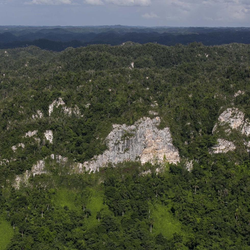 El Carso, conformado principalmente por mogotes o colinas de roca caliza, es una región crucial para la conservación del agua. Según el DRNA, las regiones cársicas cubren el 20% de la superficie de la isla.