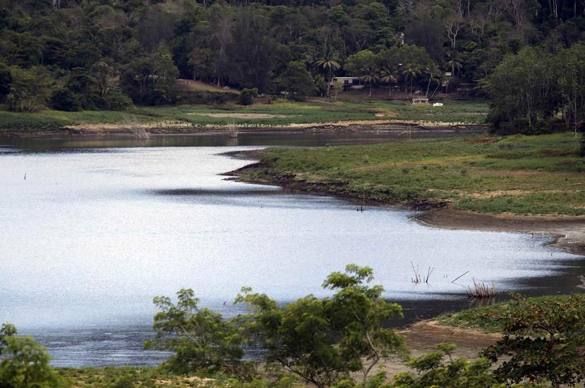En los embalses Carraízo, La Plata y Cidra, los niveles del agua han bajado considerablemente a causa de la sequía.