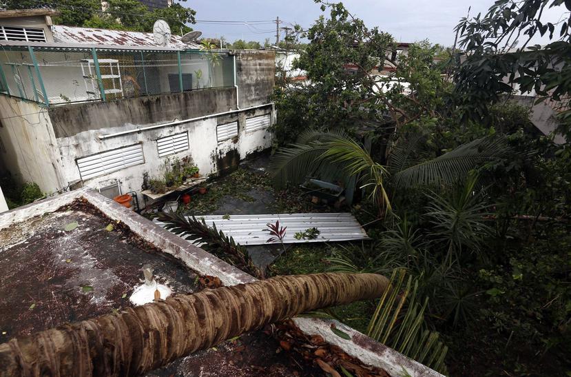 Daños en la zona de Santurce tras el paso de Irma. (Agencia EFE)
