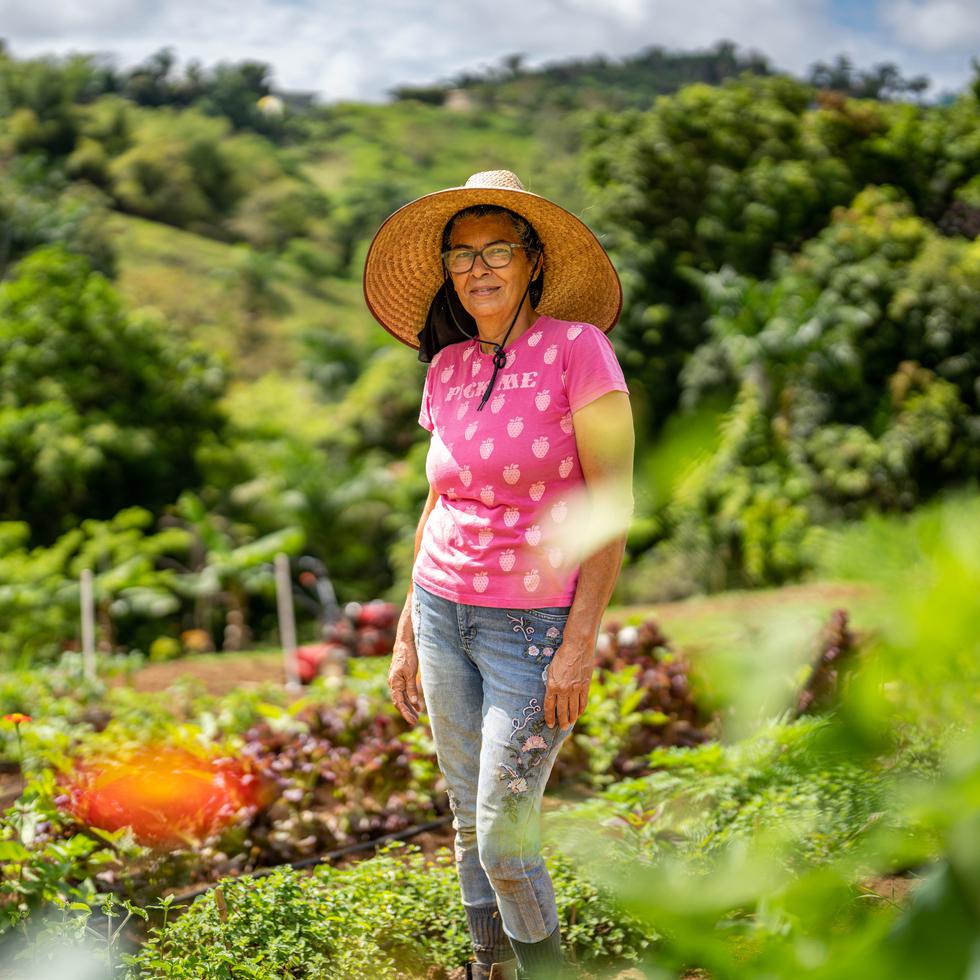 Marilyn Rosa Tirado explicó que trabaja cuatro variedades de uvas: moscatel rosada, concord, fredonia y niágara.