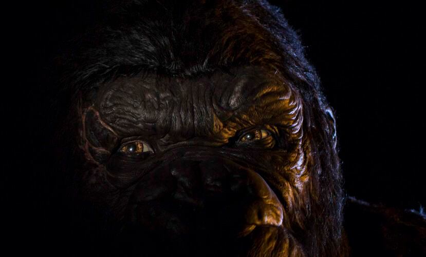 La figura de King Kong siempre ha sido grande en todas las historias.