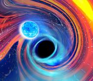Ilustración facilitada por Carl Knox representando un agujero negro (al centro) mientras engulle una estrella de neutrones, arriba a la izquierda. Las líneas azules son ondas gravitacionales, ondulaciones en el tiempo y el espacio, que es como los astrónomos detectaron la fusión, mientras que las áreas naranjas y rojas indican partes de la estrella de neutrones desprendiéndose.