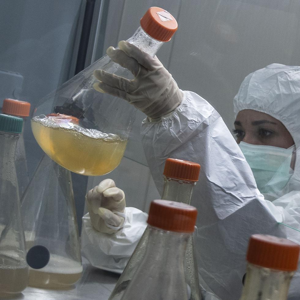 Una científica trabaja en el desarrollo de Abdala, una vacuna experimental para el COVID-19, en el Centro de Ingeniería Genética y Biotecnología (CIGB) en La Habana, Cuba, el jueves 25 de febrero de 2021. (AP Foto/Ramón Espinosa)