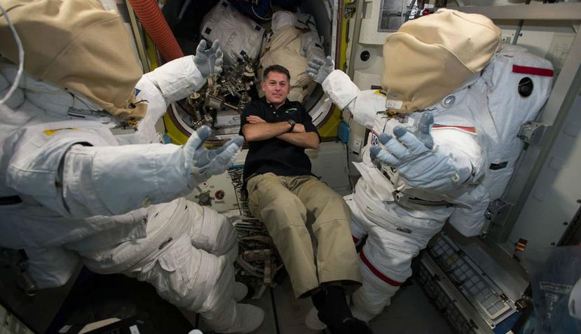 La hibernación se llevaría a cabo en pequeñas cápsulas individuales que funcionarían como cabañas mientras la tripulación está despierta (NASA).