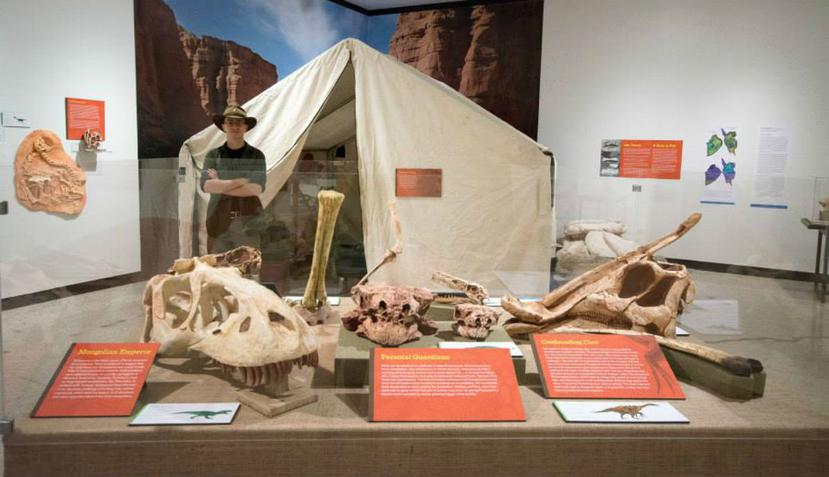 El cráneo fue descubierto por el canadiense Scott Persons en 2015 (Facebook/Scott Persons).