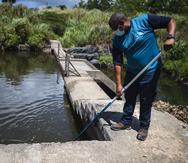 Recorrido de El Nuevo Día por la planta de filtros de Canóvanas y la planta de recogido de aguas crudas de Loíza Valley, instalaciones de la AAA afectadas por la sequía.