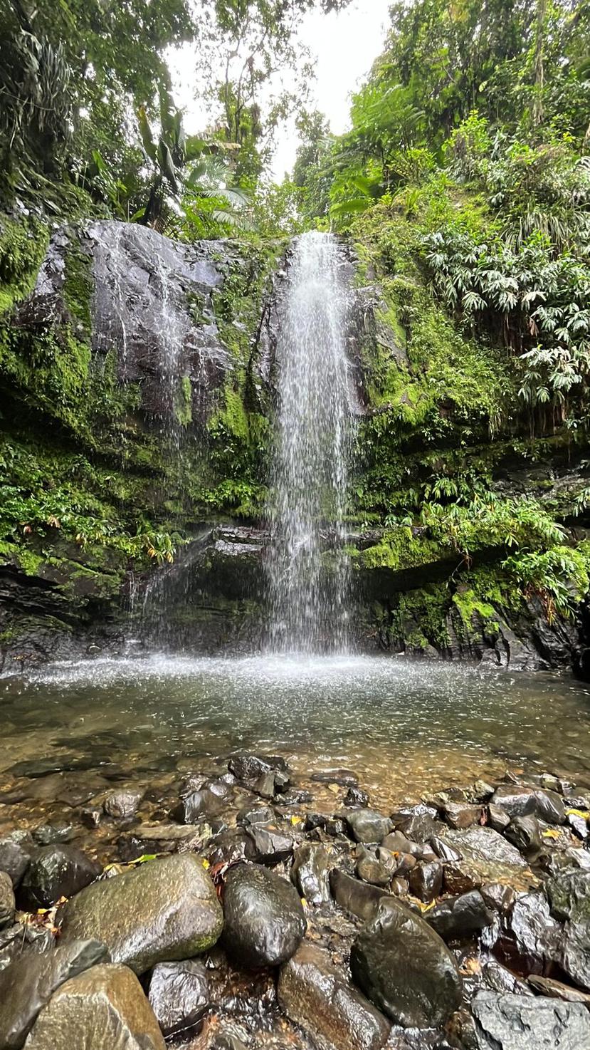 Cascada Las Delicias en Ciales, "un lugar mágico" a tan solo una caminata corta de distancia.