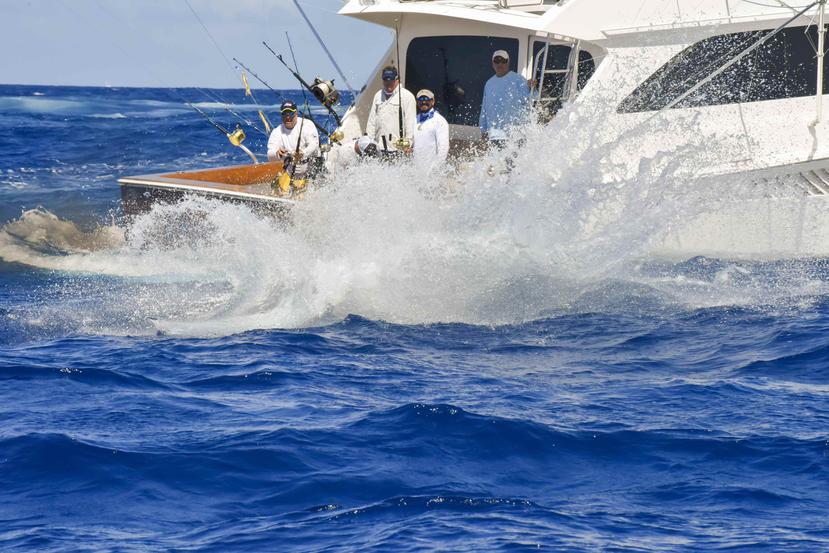 La acción pesquera continuó vigorosa en el segundo día del Torneo Internacional de Pesca Aguja Azul del Club Náutico de San Juan