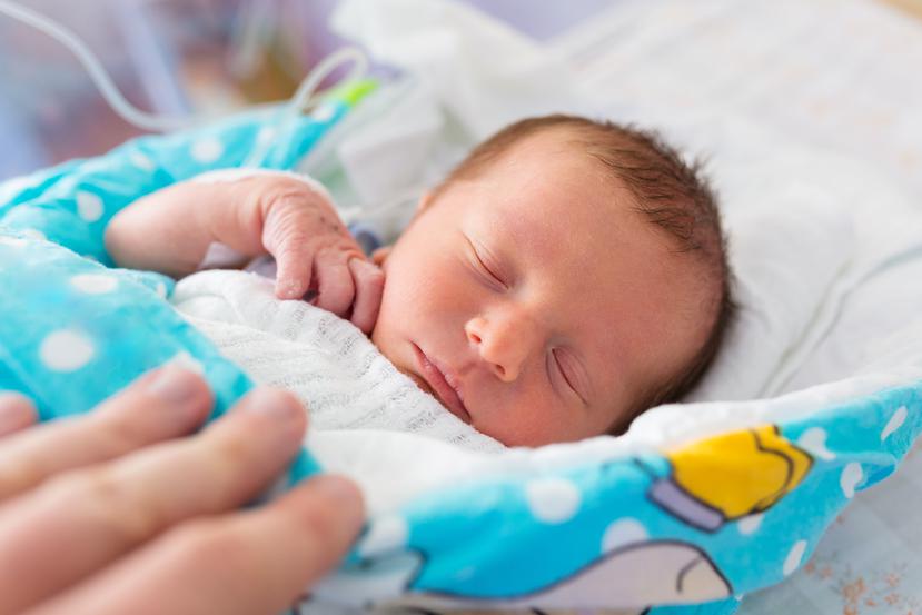 Los bebés que nacen por cesárea tienen mayor abundancia de bacterias vinculadas al recinto médico donde fueron dados a luz. (Shutterstock)