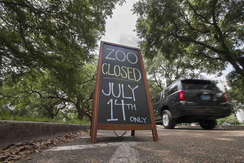 El zoológico de Audubon cerrado después de que un jaguar escapó de su habitat y mató a ocho animales de acuerdo a un comunicado del zoológico el sábado 14 de julio de 2018 en Nueva Orleans. (AP)