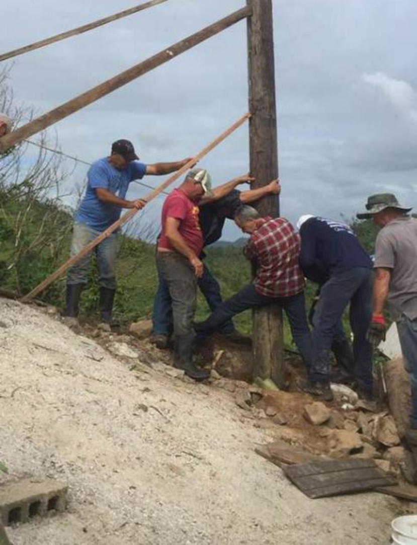 They used from farmers' tractors to their own hands to push and install the poles that Hurricane Maria destroyed. (Supplied)