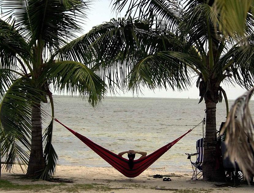 Algunos vecinos inadvertidos que se acercaron a la playa para refrescarse ante la ola de calor que golpea estos días Miami se mostraron muy molestos. (Archivo / AP)