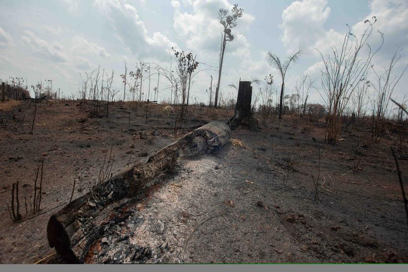 La región amazónica ha registrado más de la mitad de los 71,497 incendios forestales detectados en Brasil. (EFE)