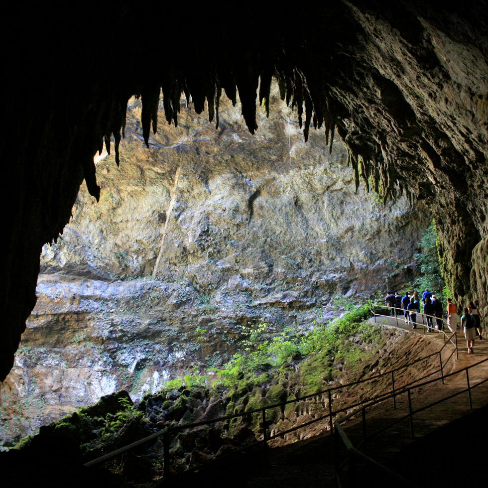 Sin duda, una de las maravillas naturales de este pueblo es el Parque las Cavernas del Río Camuy.
