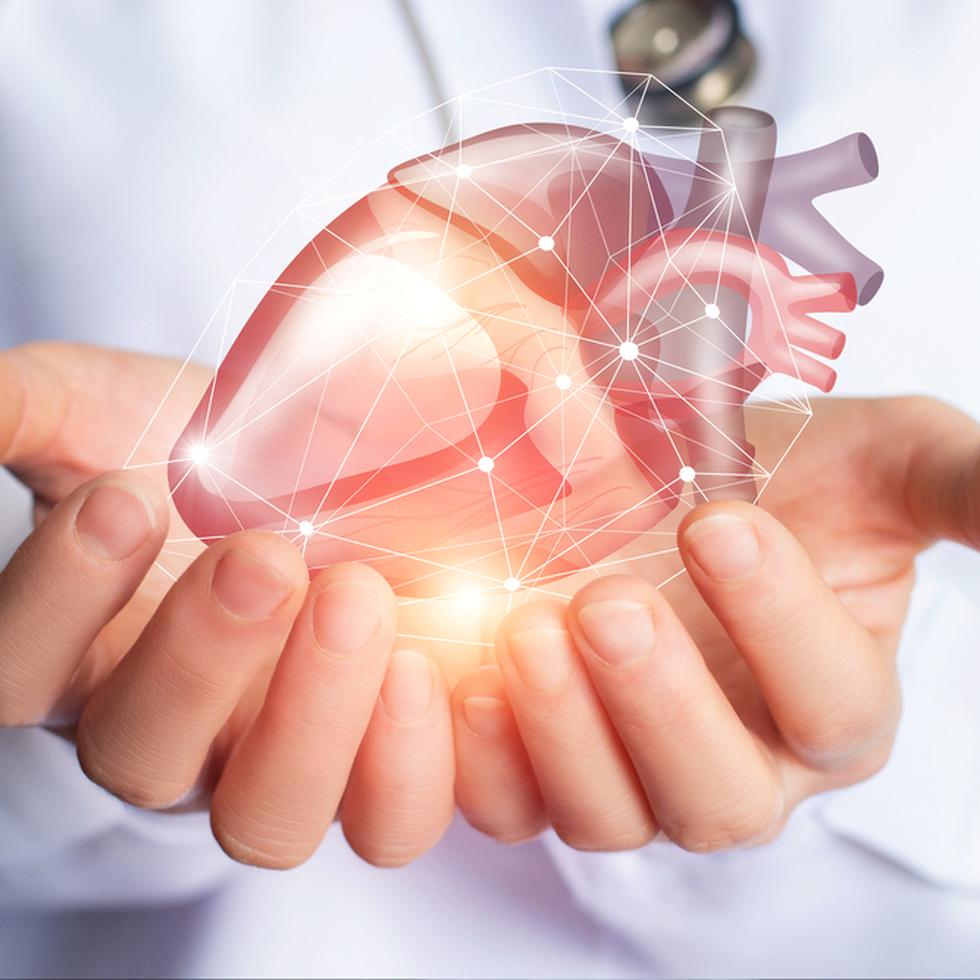 El número de cardiomiocitos que posee el corazón es limitado y su capacidad de dividirse o regenerarse en personas adultas es muy reducida.
