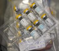Vacunas contra la viruela símica en una clínica en el Centro de Bienestar OASIS, en Nueva York. (Archivo)