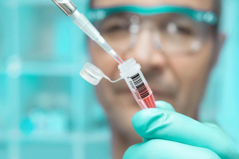 Cientos de investigaciones para hallar un tratamiento para la COVID-19 se llevan a cabo en todo el mundo. (Shutterstock)