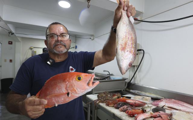 Del mar al paladar: listas las pescaderías para la Semana Santa