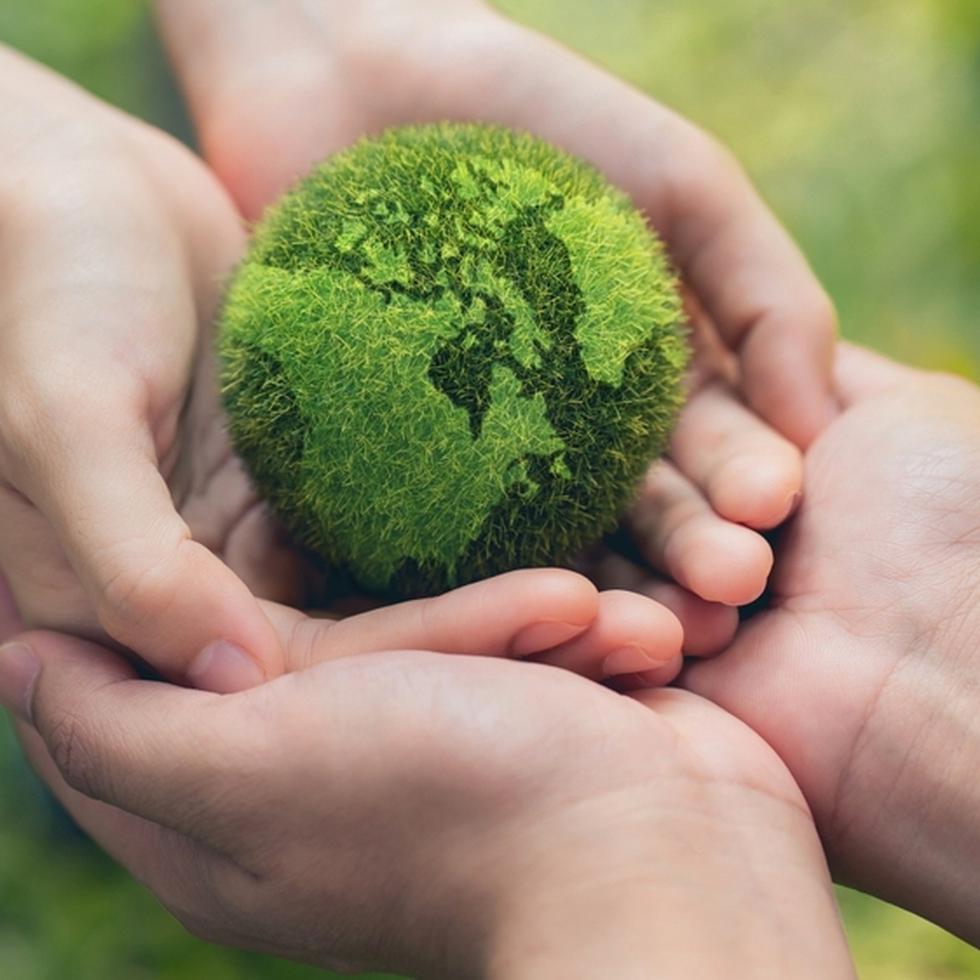 Con motivo de la celebración del Día Mundial de la Tierra, cuatro "influencers ambientales" hablan sobre sus roles y sus motivaciones en favor de la protección del planeta.