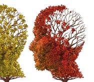 La demencia senil es un conjunto de enfermedades, cuya principal característica es el deterioro progresivo de las funciones mentales de la persona.  (Foto: Shutterstock)