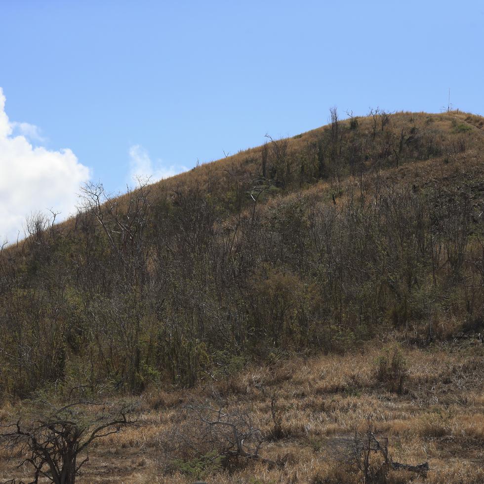 Vista de un terreno con condiciones secas al sur de Puerto Rico.