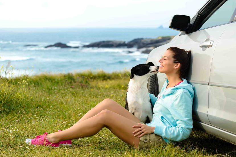 Lleva siempre el certificado de salud y vacunación de tu mascota. También es importante que vaya desparasitado. (Foto: Shutterstock.com)