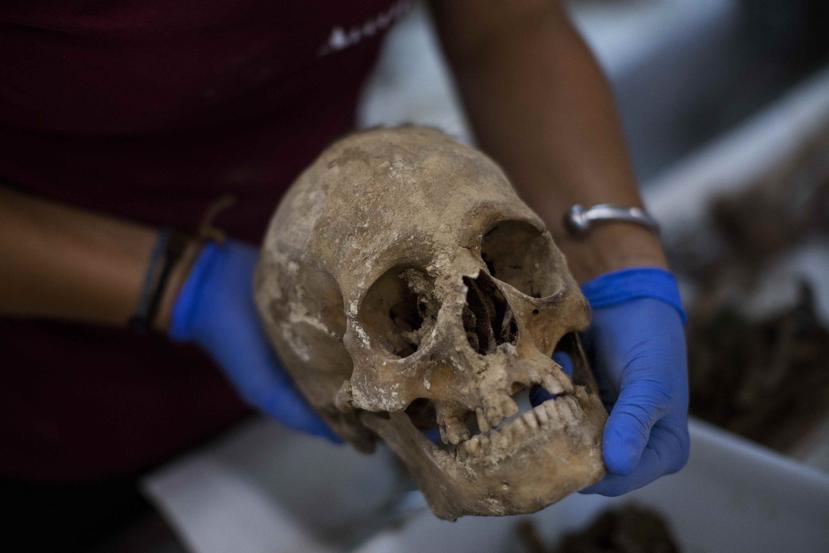 Un antropólogo sostiene un cráneo para fotografiarlo después de haberlo exhumado de una fosa común en el cementerio de Paterna, cerca de Valencia, España. (AP)