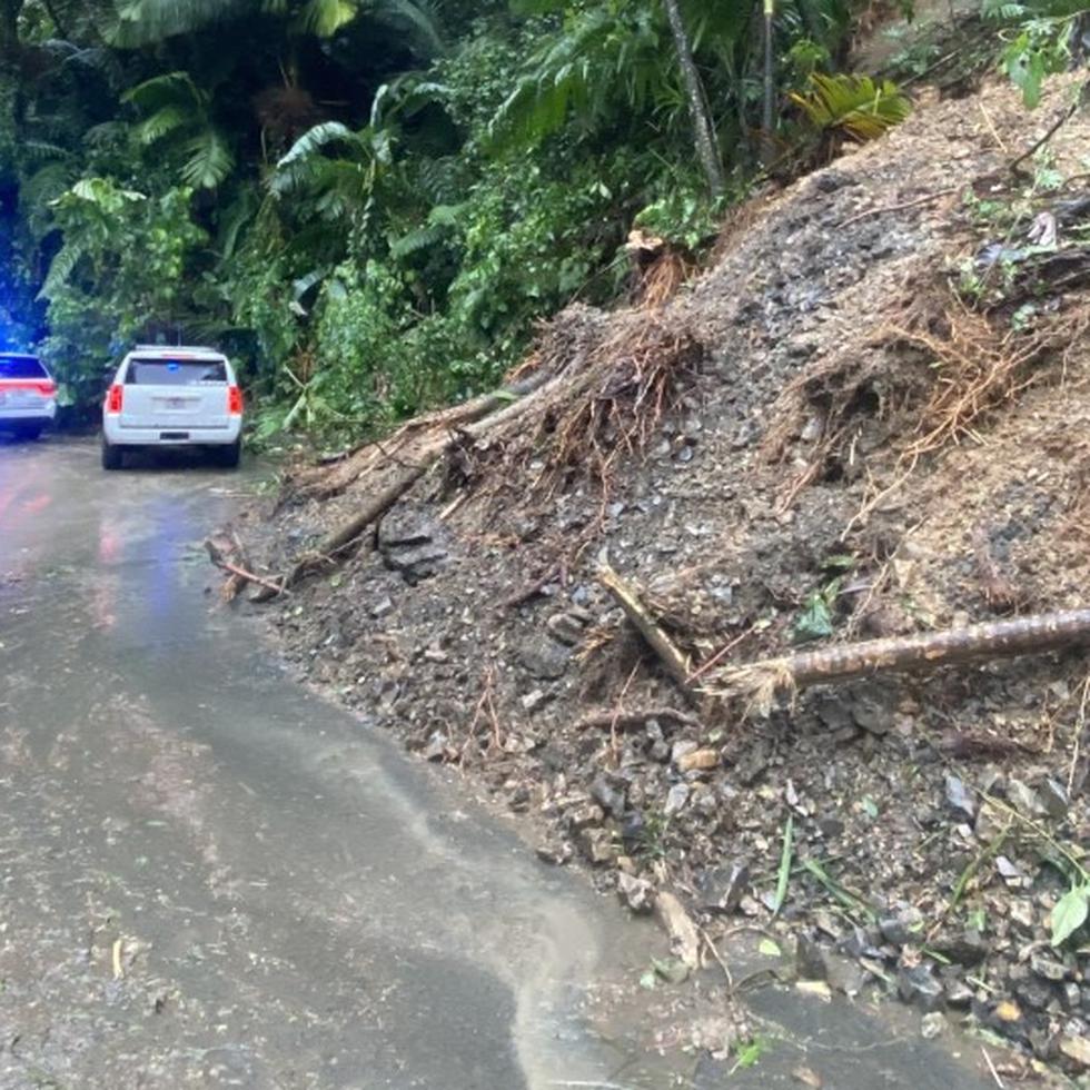 La evaluación de daños en la parte sur de El Yunque continúa.