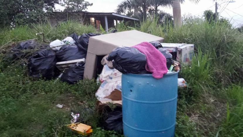 A principios de la próxima semana, el servicio de recogido de desperdicios en la zona rural de Mayagüez debe estar normalizado. (Archivo GFR Media)