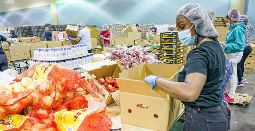 La empresa Caribbean Produce Exchange, Inc. ha creado más de 500 empleos directos para ensamblar un promedio de 40,000 cajas de alimentos diariamente. (Suministrada)