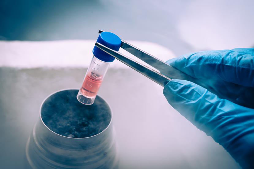 Extracción de células madre en laboratorio