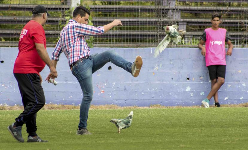 Foto de Gaston Alegari pateando una gallina lanzada al campo de juego por aficionados. (AP)