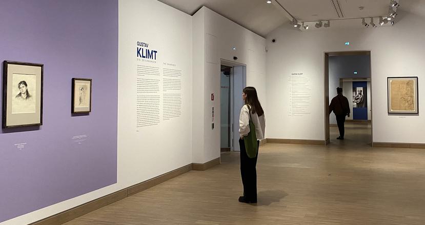 En la exposición "Gustav Klimt: Los dibujos", el famoso artista presenta la figura femenina como una fuente de excitación y del origen de la vida humana.
