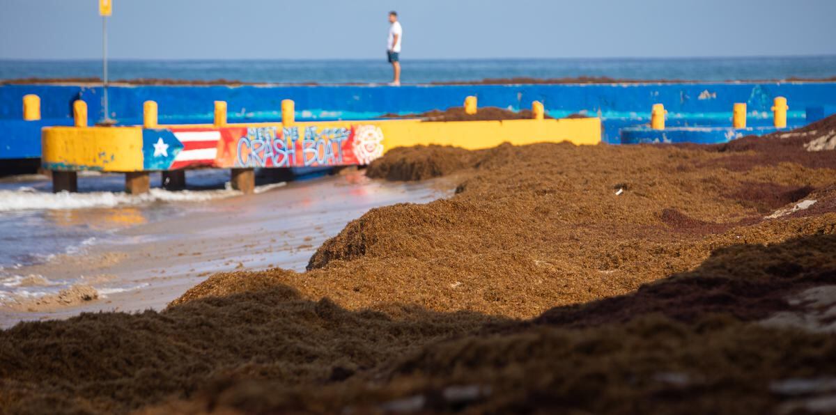 El proyecto colaborativo aspira a insertar a la isla en el llamado nicho de "waste to x". La iniciativa comenzará explorando el desarrollo de productos con sargazo, plásticos y neumáticos. En el caso del sargazo, se estima que podrían extraerse un millón de toneladas al año en aguas de Puerto Rico para ser utilizadas en la manufactura de nuevos productos.