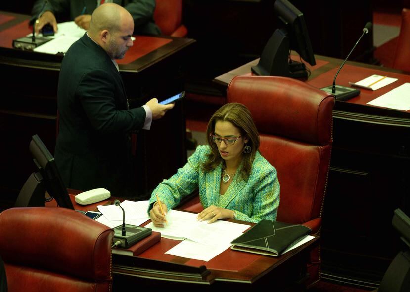 La medida fue evaluada en el Senado por la Comisión de Derechos Civiles, Participación Ciudadana y Economía Social que preside Rossana López.