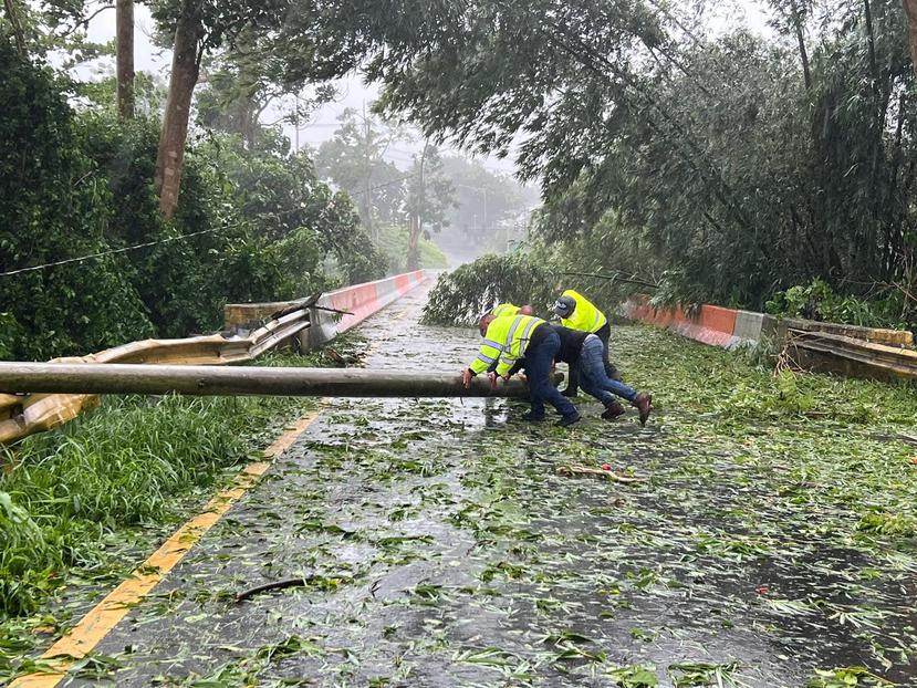 Brigadas del Municipio de Humacao remueven poste de la vía en la PR-60 salida hacia el Hospital Ryder, durante el paso del huracán Fiona.