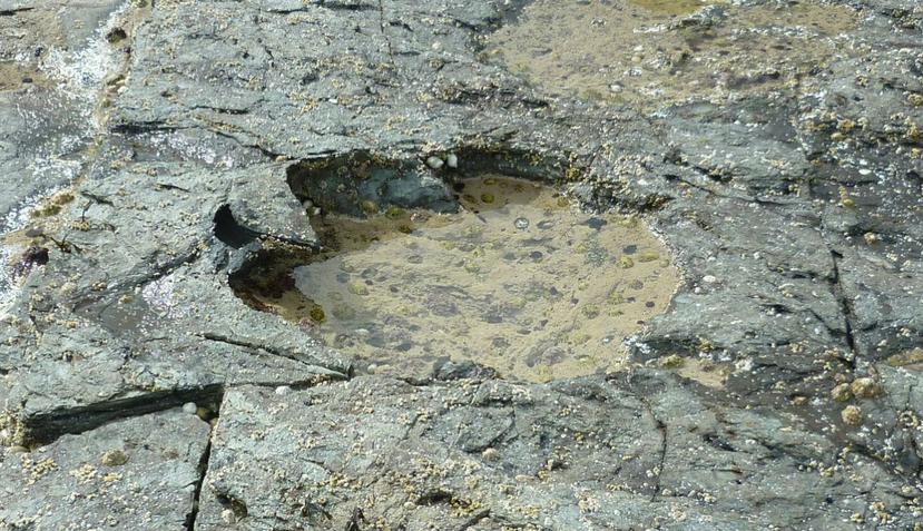 Una de las huellas encontradas en la isla escocesa de Skye. (EFE)