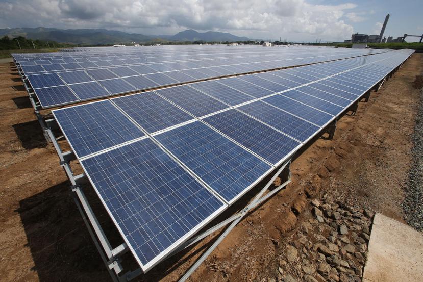 La AEE financiaría con fondos federales el desarrollo de proyectos de energía renovable, como parques de placas solares. (GFR Media)