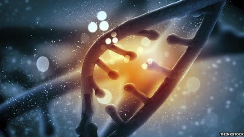 La técnica, llamada CRISPR, permite alterar en forma precisa cualquier posición específica en el ADN de los 23 pares de cromosomas humanos sin introducir mutaciones no deseadas o fallas. (BBC)