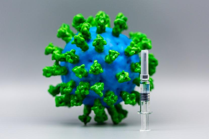 Opinan que la intensidad de la pandemia podría disminuir gradualmente, lo que puede obligar a estudios adicionales de las vacunas candidatas. (Pixabay)