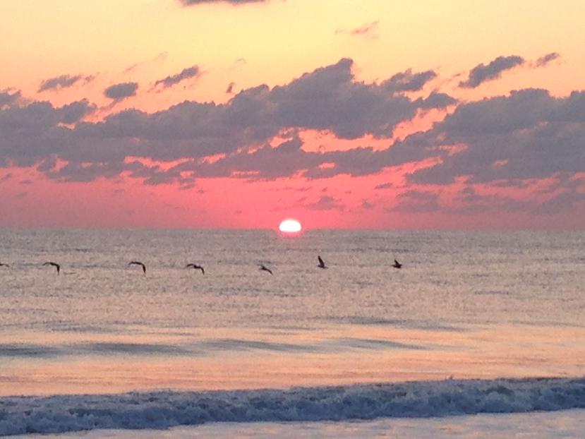 Hermosa puesta de sol en Vero Beach y de los pelícanos que se pueden ver en la zona.