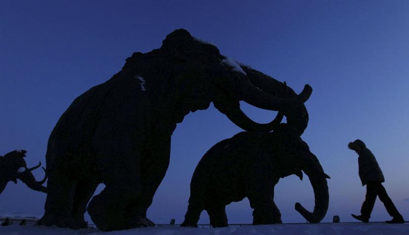 El mamut podía llegar a pesar diez toneladas y medir hasta 16 pies de altura. (EFE)