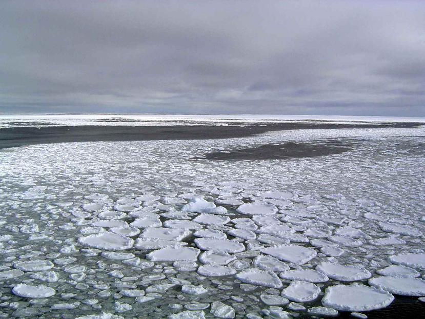Los investigadores dedujeron que estas pequeñas crestas fueron causadas por el hielo que se movía arriba y abajo con las mareas. (Archivo / GFR Media)